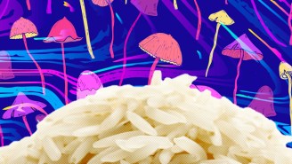 Why DIY Magic Mushroom Growers Are Gathering In An Uncle Ben’s Rice Subreddit