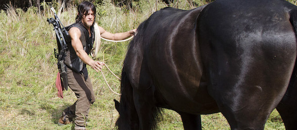 daryl-horse.jpg