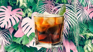 Bartenders Call Out The Most Overrated Bottles Of Rum