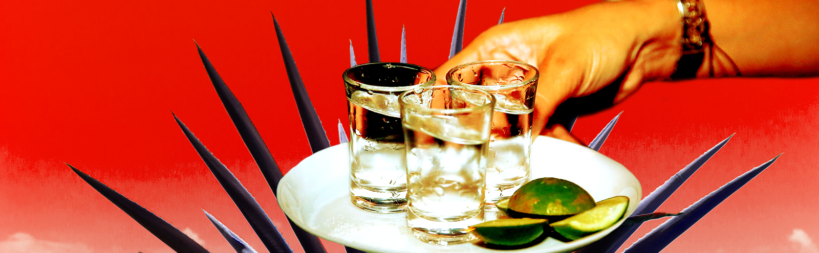 The Top Rated Tequila In Every Category According To The Ultimate   Tequila2 Tfeat Uproxx 