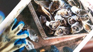 Are Oysters-By-Mail The Next Thing In At-Home Dining?
