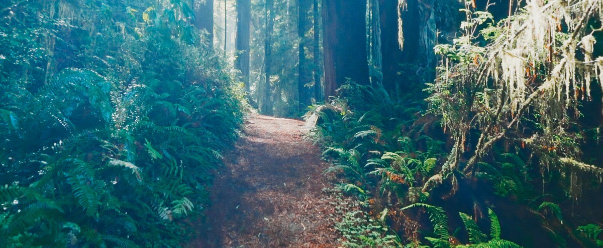 ‘A World Of Calm’ Episodes, Ranked From Least To Most Soothing