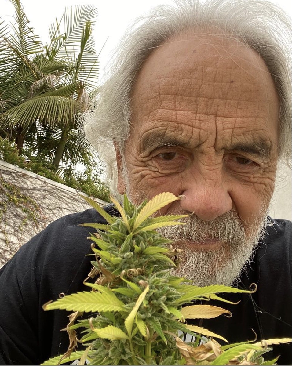 Tommy Chong Talks New 'Cheech & Chong' Dispensaries