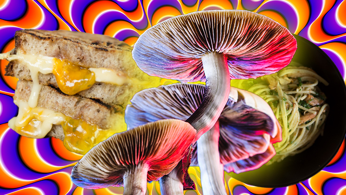 How to Dry Shrooms - DoubleBlind Mag