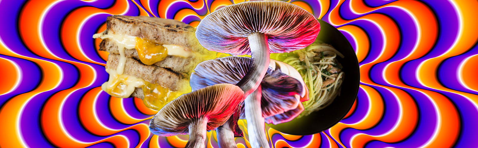 Two Experts On Cooking With Psilocybin And How To Make ‘Grilled Cheese Shroomwiches’