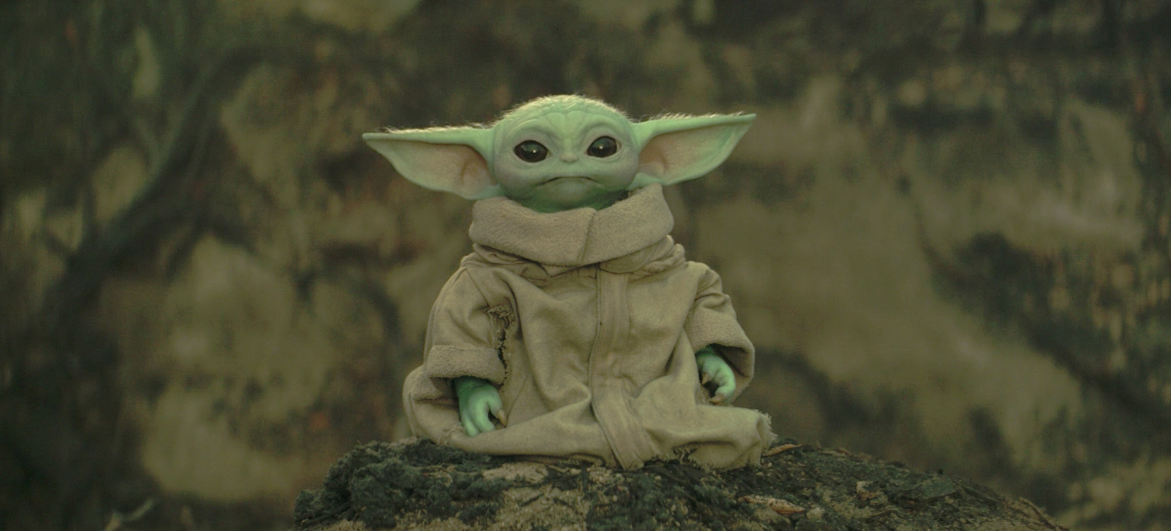 Baby Yoda's Real Name Is Finally Revealed On 'The Mandalorian'