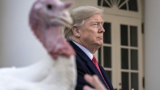 Trump’s Old Comments About A Turkey Refusing To Concede A ‘Fair Election’ Are Coming Back To Haunt Him