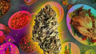 The Best Munchie-Inducing Weed Strains For Your At-Home Thanksgiving