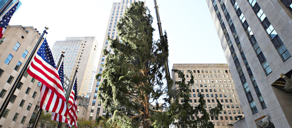 rockefeller-center-christmas-tree-top.jpeg