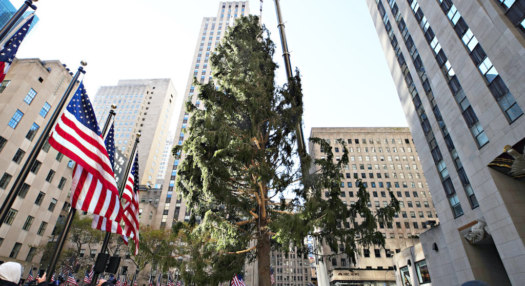 Rockefeller Center's Sad 2020 Christmas Tree Is Getting Mocked Online