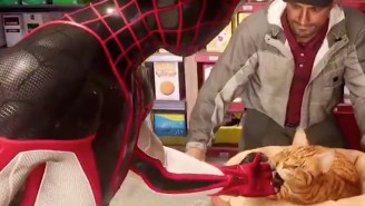 Bodega Cats In ‘Spider-Man: Miles Morales’ Take A Pet Like No Problem