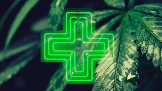 The Hippies Were Right All Along — The UN Has Declared Weed A Medicine