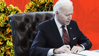 What Are The Chances That Marijuana Will Be Legalized Now That Biden Is In Office?