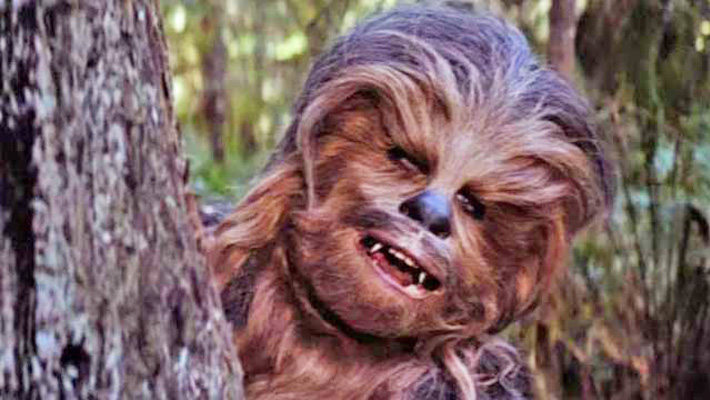 Chewbacca S Good Name Got Dragged Into Maga Riot And People Are Mad