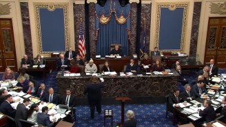 Democrats Backed Down From Calling Witnesses During Trump’s Senate Impeachment Trial, And People Were Furious