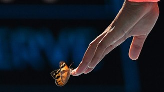 Naomi Osaka Rescued A Butterfly After It Flew Into Her Face At The Australian Open