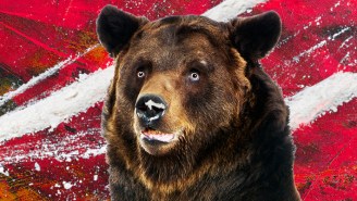 The Rundown: The True Story Behind The ‘Cocaine Bear’ Movie Is Even More Wild Than The Title