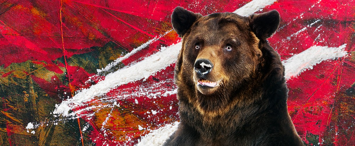 The Rundown: The True Story Behind The ‘Cocaine Bear’ Movie Is Even More Wild Than The Title
