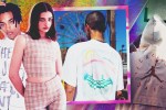 A FLAN x Cotton Cravings Collaboration Leads This Week’s Best Streetwear — Plus Travis Scott & Supreme