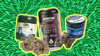 Weed Brands And Strains That Demand A Spot In Your 4/20 Rotation