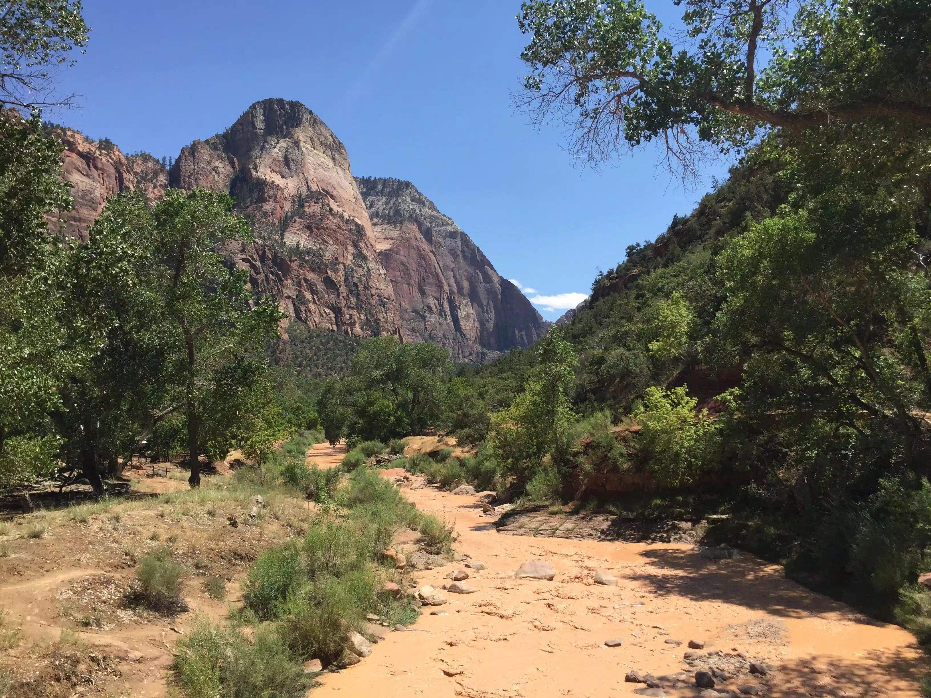 How To Navigate The New National Park Reservation System