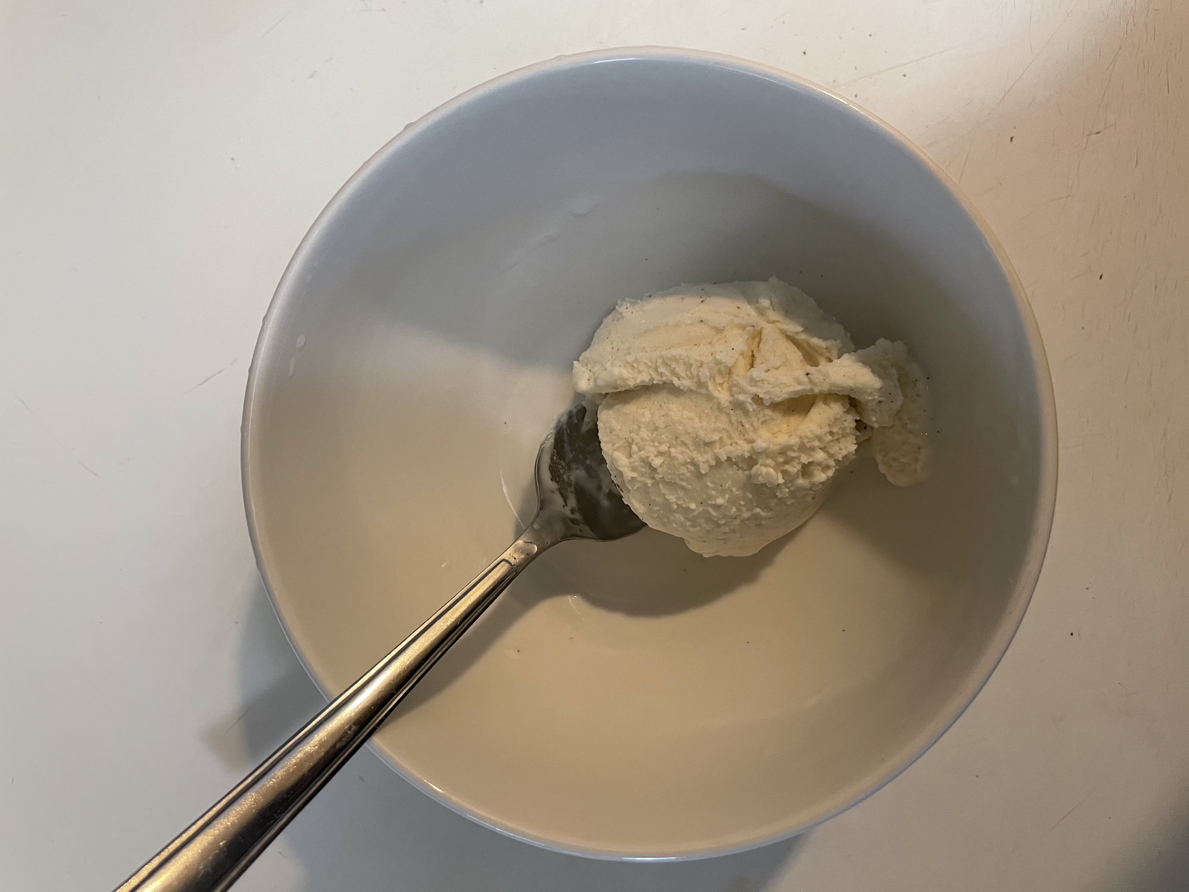 20 Best Store Bought Vanilla Ice Creams, Blind TasteTested And Ranked