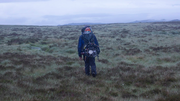 Koreless -- "Joy Squad"