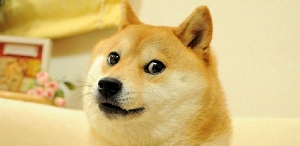The Doge Meme Nft Broke Records Selling For About 4 Million In Crypto - doge in your pocket roblox