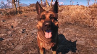 ‘Fallout 4’ Fans Mourned The Death Of The Real Dog That Inspired Dogmeat’s Design