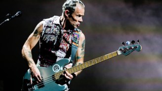 Red Hot Chili Peppers Bassist Flea Thinks The Westminster Dog Show Results Are Rigged