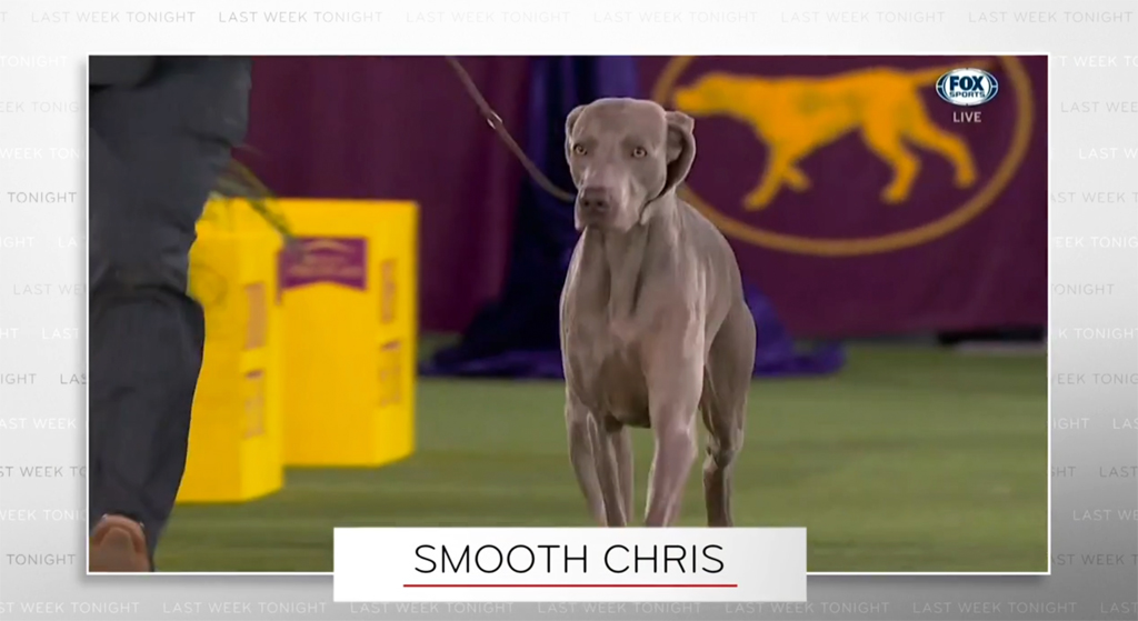 ‘Last Week Tonight’ Puts The Westminster Dog Show Controversy Into