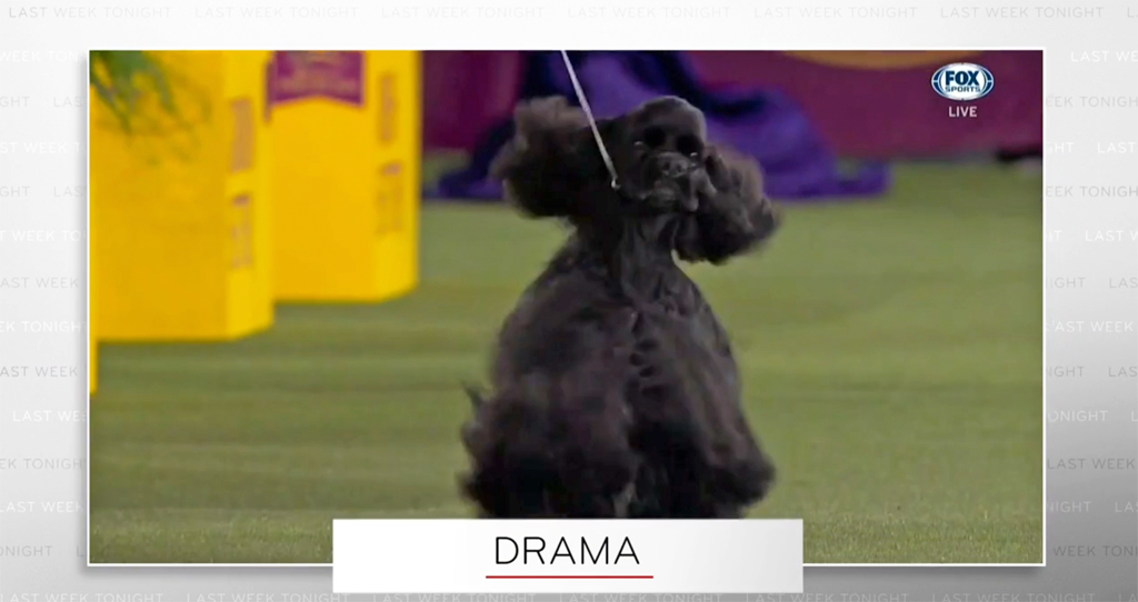 ‘Last Week Tonight’ Puts The Westminster Dog Show Controversy Into