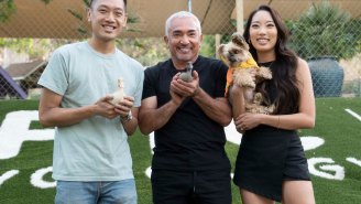 Dog Whisperer Cesar Millan Is Back With A New NatGeo Show: ‘Better Human Better Dog’