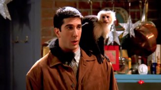 Marcel’s Trainer On ‘Friends’ Thinks ‘Despicable’ David Schwimmer Hated The Monkey Because He Was ‘Jealous’