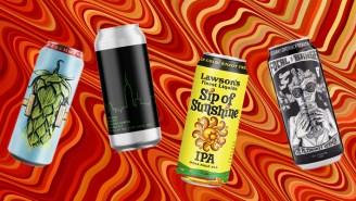 Here Are The Very Best Citra-Hopped IPAs You Can Buy At The Grocer