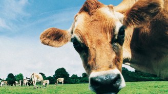 People Can’t Believe That A Judge Ordered A Hospital To Treat A COVID Patient With Livestock Medication