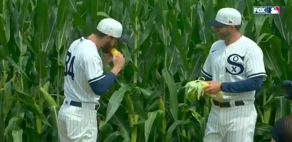 White Sox, Yankees Go Deep Into Corn In 'Field Of Dreams' Game, White Sox  Win With Hollywood Ending - CBS Chicago