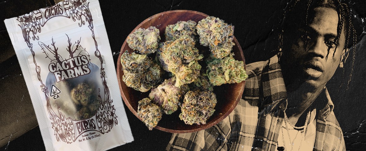 We Sampled Travis Scott’s Cactus Farms Cannabis — Here’s Our Review