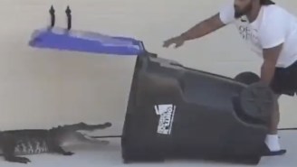 A Philly Man Is Being Celebrated For Improbably Capturing A Gator With A Trash Bin In Florida