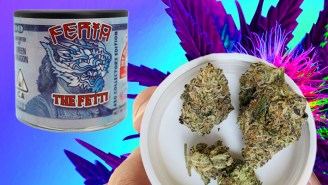 We Smoked The Cannabis Cup’s 2020 Gold Medal Winning Hybrid Strain To See If Its Worth Your Money