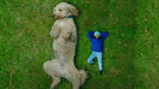 Aminé Kicks Back With A Giant Poodle In The ‘Charmander’ Video