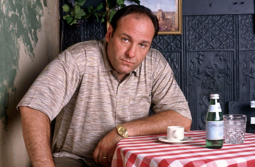 'Office' Star Says James Gandolfini's Favorite Movie Was 'The Rocker'