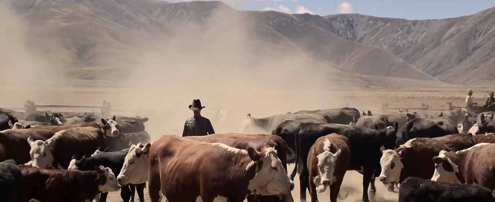 The Power of the Dog