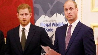 The Royal Family Is Raging With British Fury Over A New BBC Documentary About Harry And William