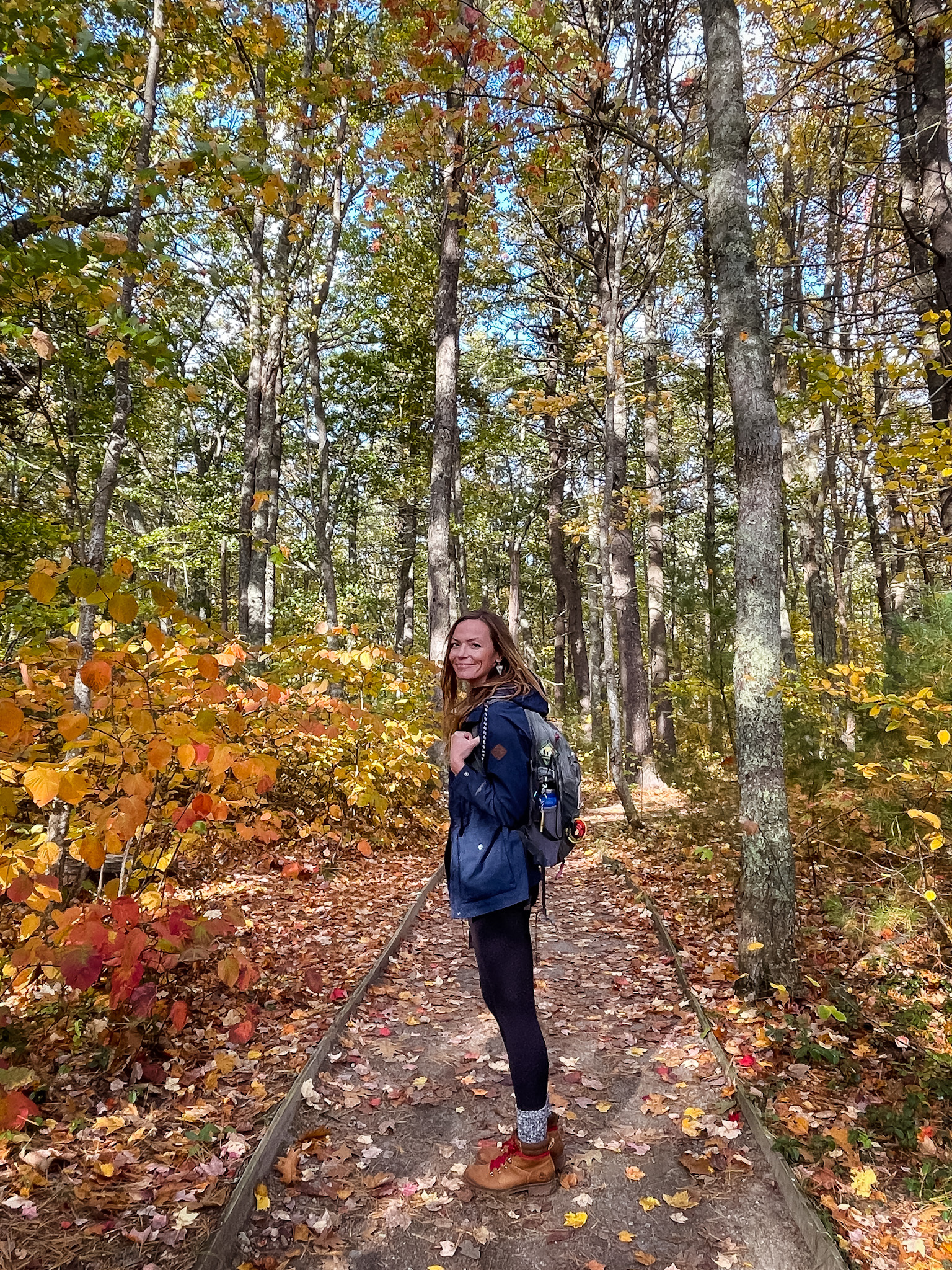 Rachel Carson Reserve