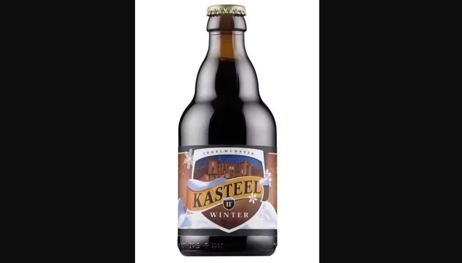 Kasteel Winter