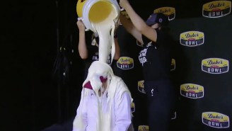 Shane Beamer’s Mayo Bath Was Even More Disgusting Than You Imagined