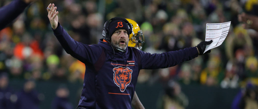 nagy bears