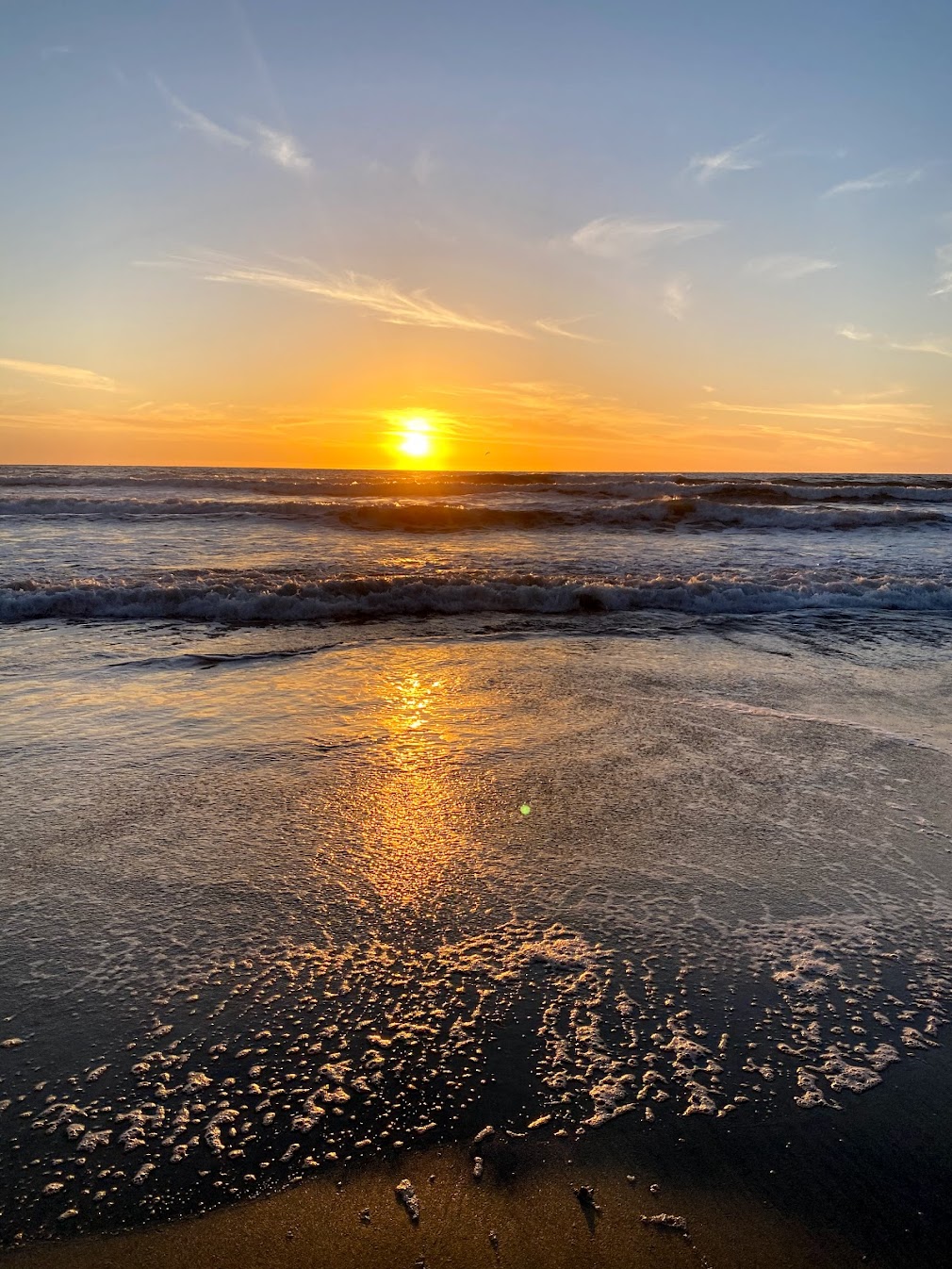 Encinitas Surfhouse Hotel