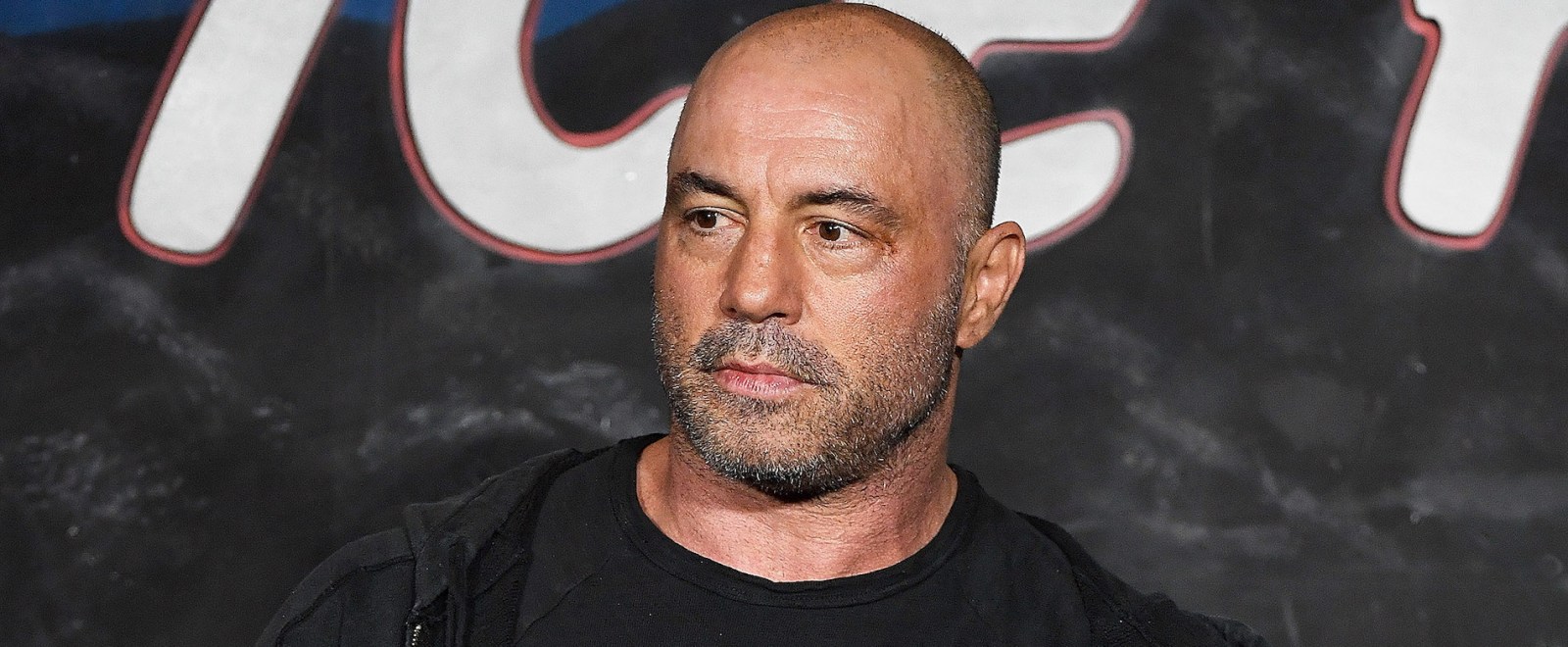 Joe Rogan 2018